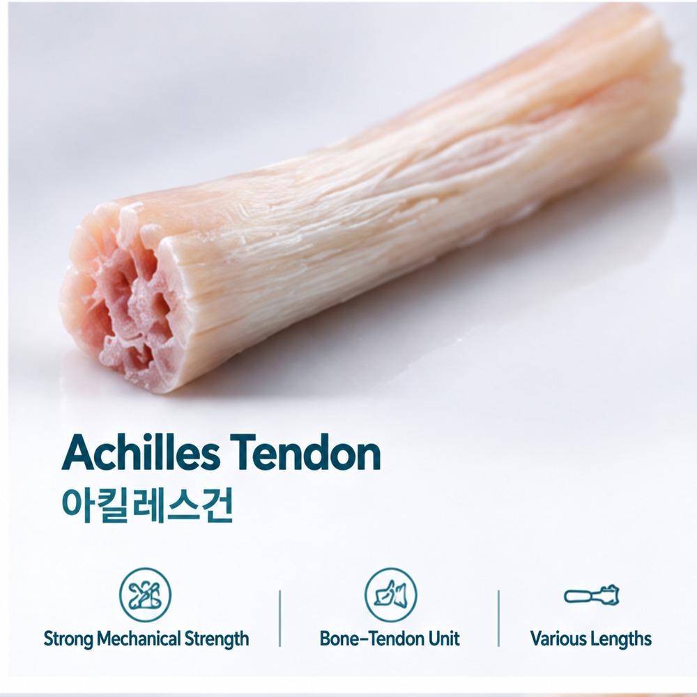 건(Achilles Tendon)