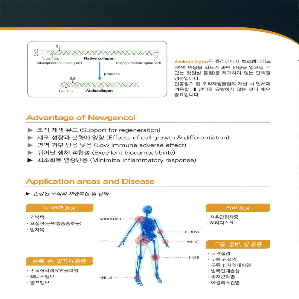뉴젠콜_3페이지_1000x1000(1).jpg
